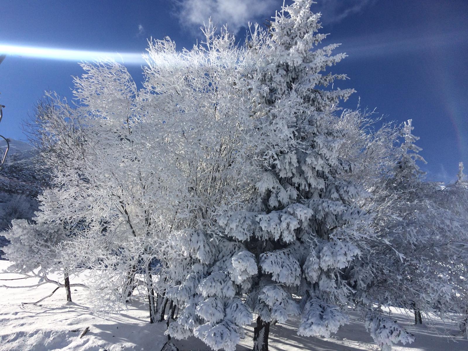 Jeudi grand ski