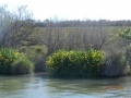 DSCN4589