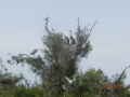 DSCN4608